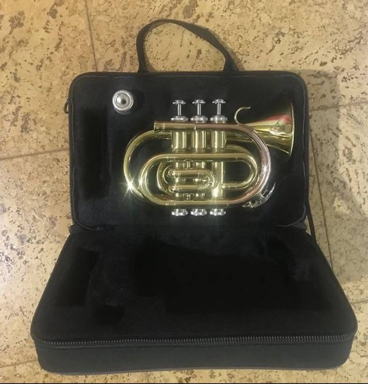 Mimoqk Kindertrompete Spielzeug - Musikinstrument Für Kleinkinder Aus ABS, 32 Cm