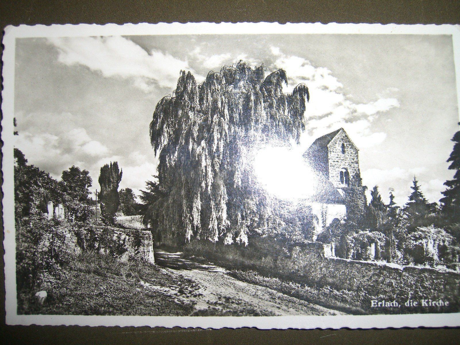 Cartes postales: Erlach - Kirche – D'occasion à Bischofszell par Joachim-115