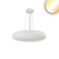 LED Pendelleuchte, DALI-fähig, 60 Ø