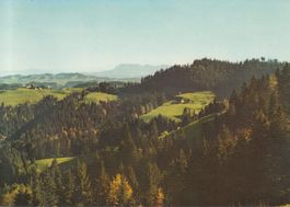 Ahorn Alp Aussicht ca. 1980