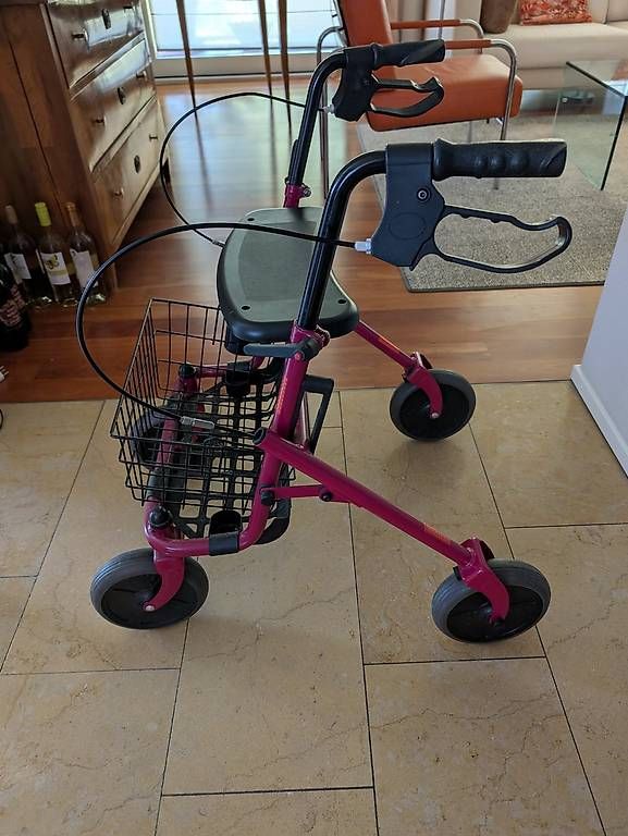 Gehhilfen: Rollator – Gebraucht aus Zürich von McFlurry49 1