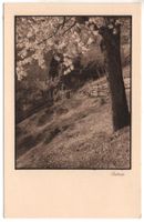 SCHIERS Heimat