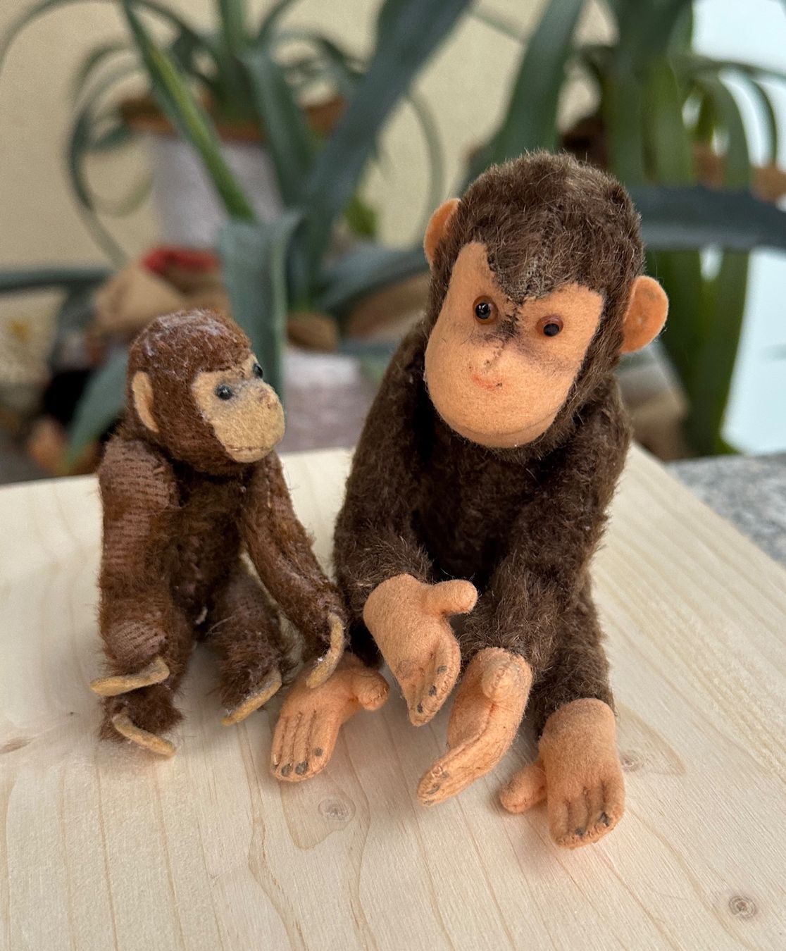 Steiff Giocattoli: 2 Äffchen Steiff Affe ca. 12 und 18 cm – Usato da Zürich venduto da brazerola 2