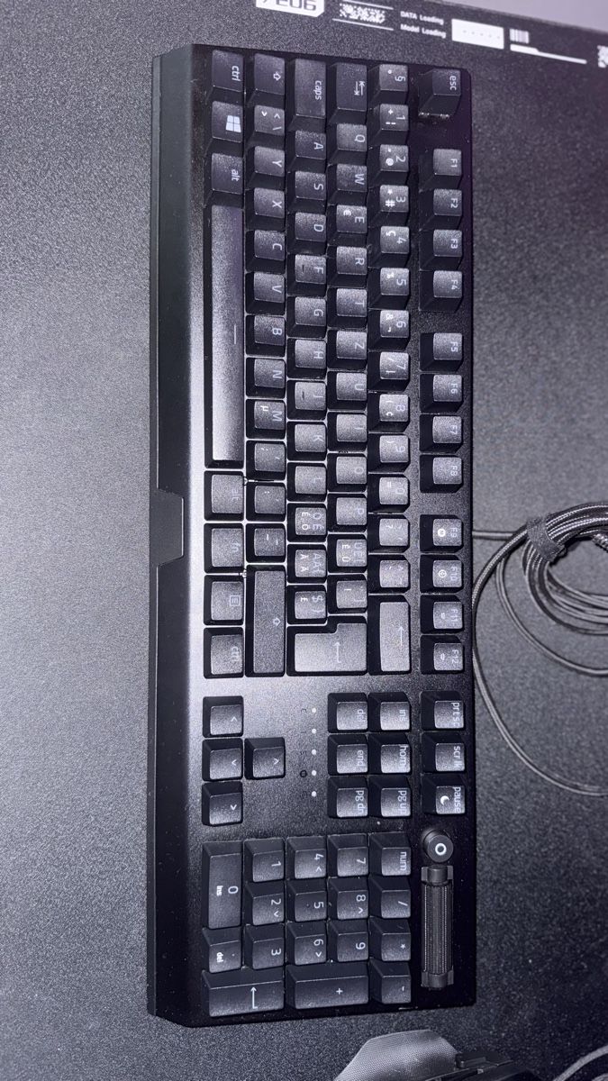 Razer Tastiere: Razer BlackWidow V3 Gaming – Usato da Höri venduto da rifip 1