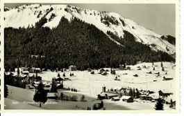 Morgins