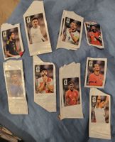 Panini Coca-Cola Stickers WM 2026