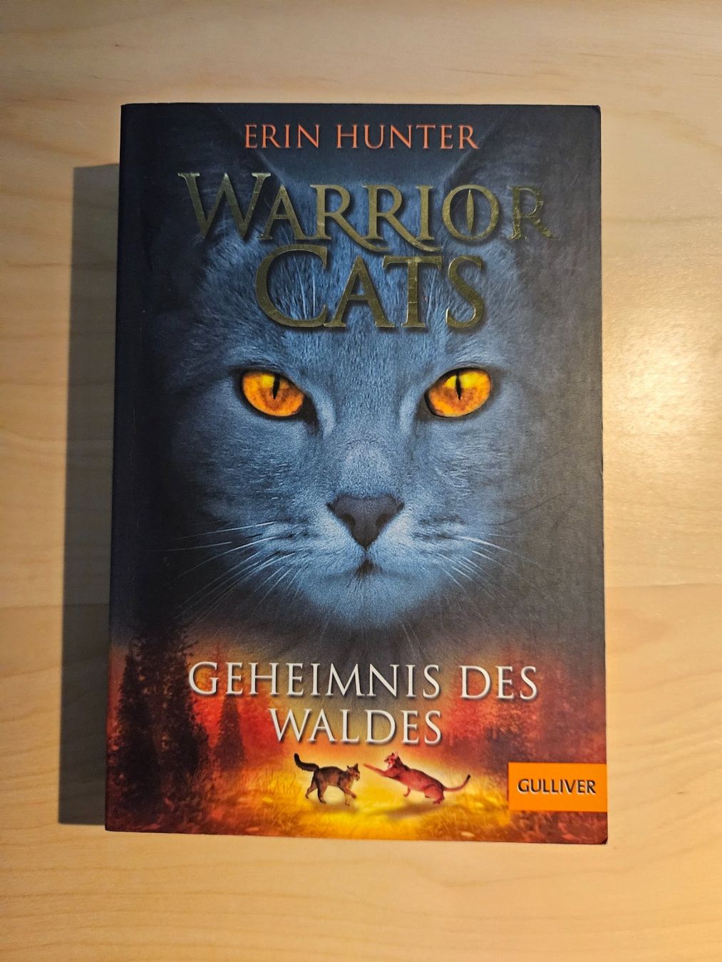 Bücher: Warrior Cats Band 1-4 – Gebraucht aus Bargen SH von  4