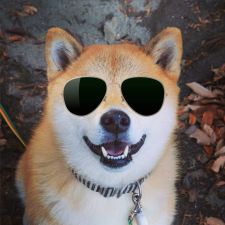 Profile image of Nick_Art
