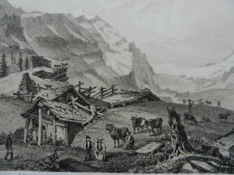 Incisioni: Clavinen Glacier Dala – Usato da Risch venduto da Rischli15 1