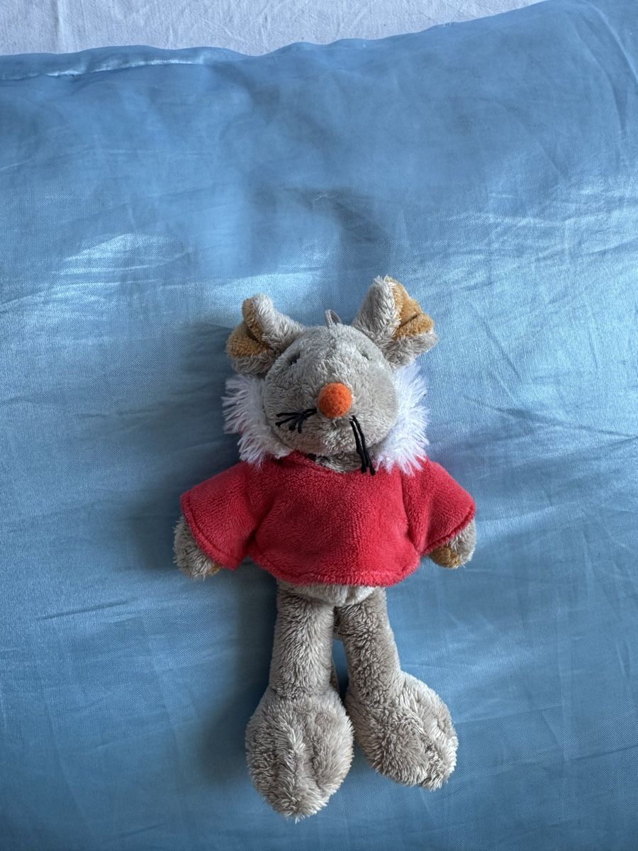 Jouets: Plüsch Maus mit Pullover  – D'occasion à Bern par ava_l8tk 1