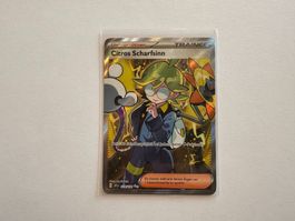 Citros Scharfsinn Stürmische Funken Trainer Fullart DE