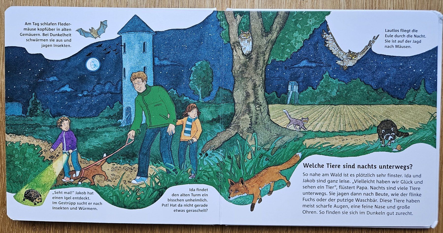Bücher: Wir entdecken die Nacht! – Gebraucht aus Schaffhausen von asyouwestley 3