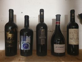 5 Flaschen Wein