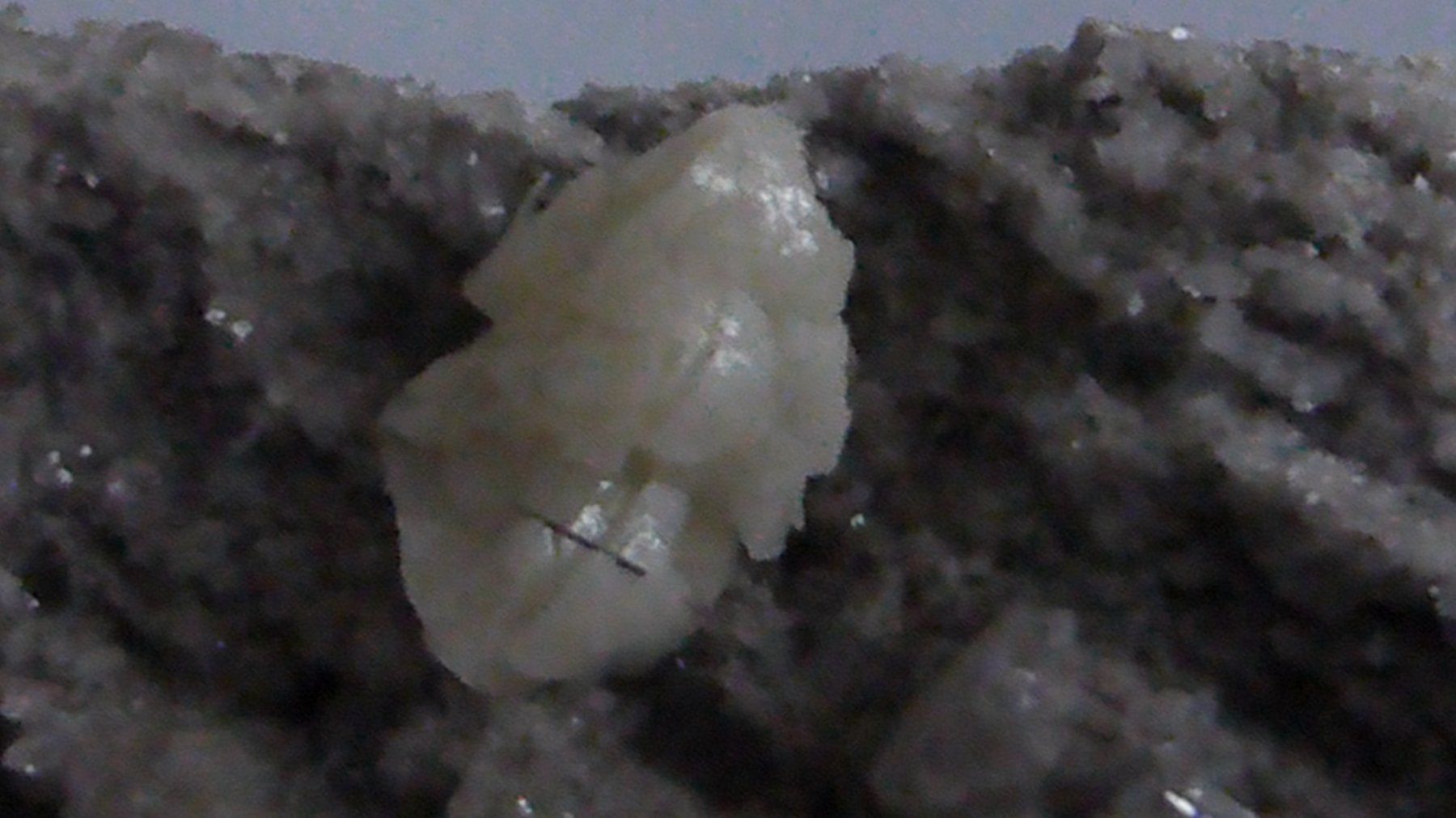 Mineralien & Heilsteine: Kristallstufe: Ankerit, Rutil, Adular bergfrisch! – Gebraucht aus Triengen von Nussbaum14 6