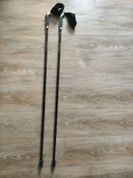 Fizan Nordic Walking Stöcke 110 cm