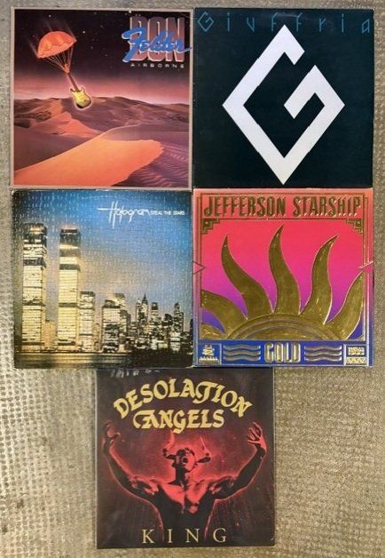 Dischi in vinile: 11 Lp's Rock/Hard-Rock/Metal – Usato da Cormondrèche venduto da huggyz 1