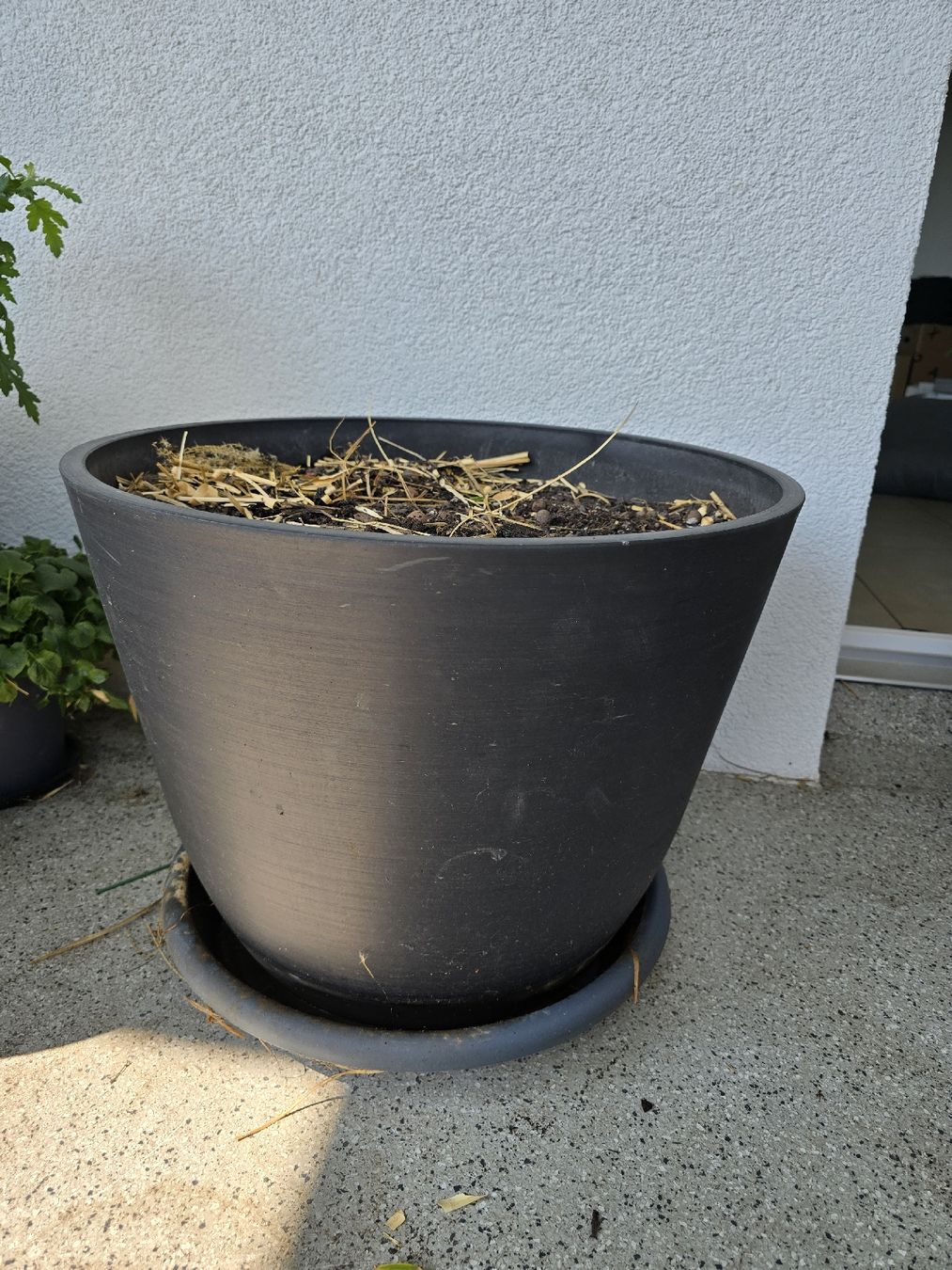 Vasi per fiori: Schöner grosser Pflanzentopf – Usato da Rickenbach b. Wil venduto da Kth_v8