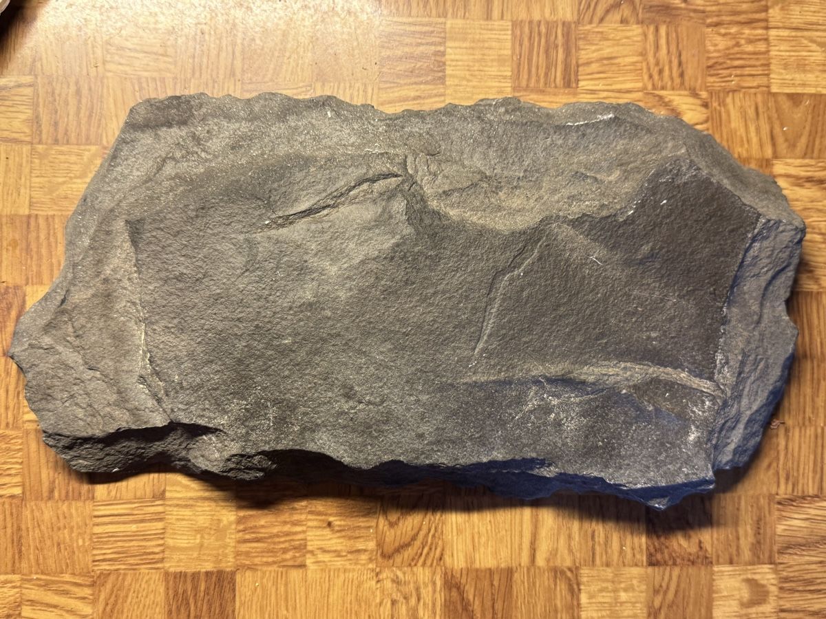 Fossiles: Fischfossil – D'occasion à Huttwil par Nedja0 3