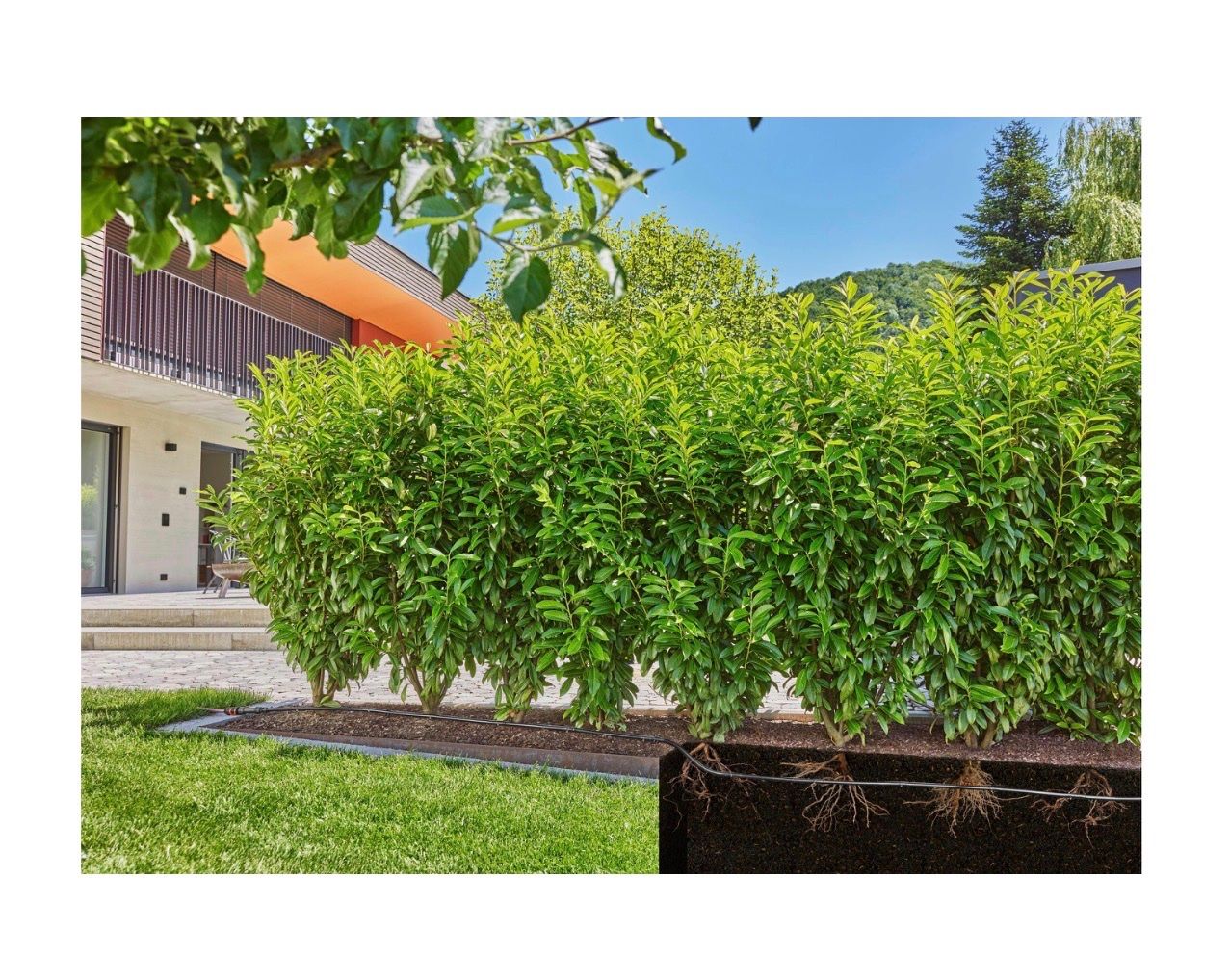 Gardena Tubi & Tubi flessibili: Neu, ungebraucht: Gardena Tropfbewässerung Micro Drip System – Nuovo e nell'imballaggio originale da Wil SG venduto da Shopping13 3