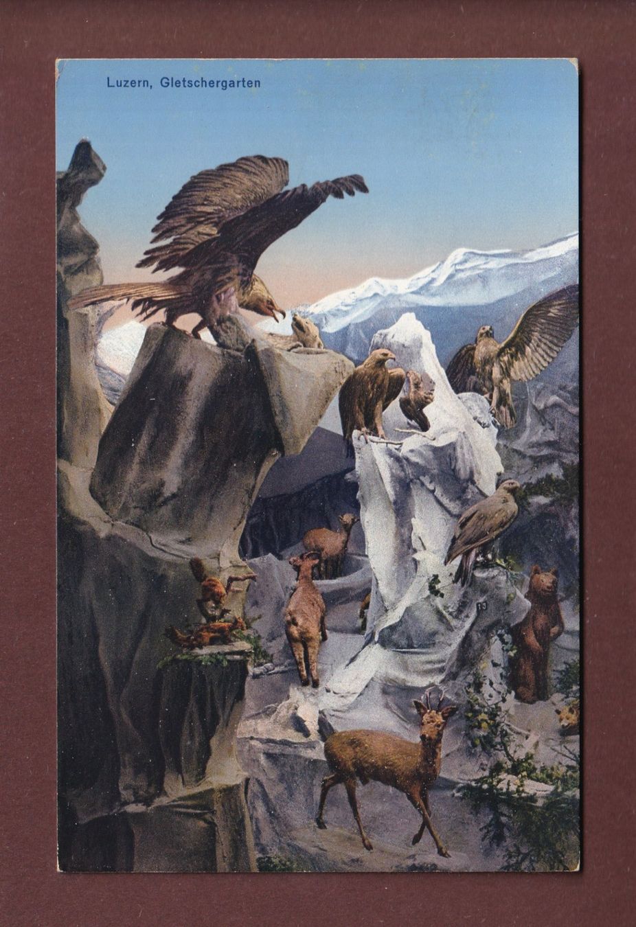 Ansichtskarten: LUZERN - Gletschergarten - Alpentiere – Gebraucht aus Pully von nicecards-shop