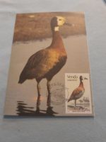 Carte postale rare avec timbre "Dendrocygna Viduata" !