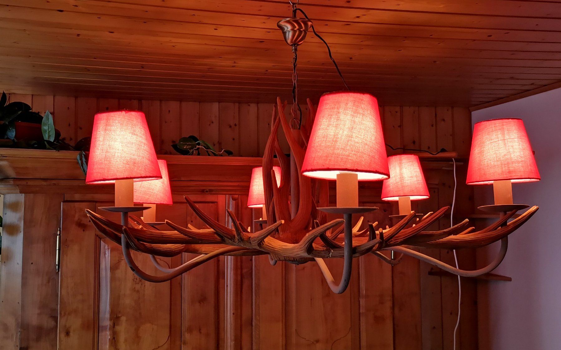 Lustres & lampes de plafonds: Geweih-Leuchter – D'occasion à Trin Mulin par obt_g2k2 2