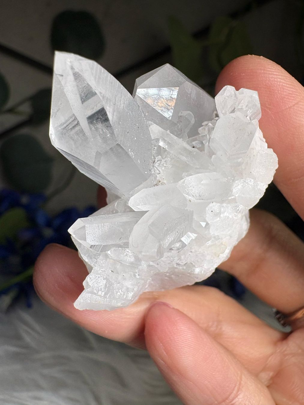 Mineralien & Heilsteine: Kolumbianischer Lemurian-Quarz-Cluster – Neu (gemäss Beschreibung) aus Neuheim von m.hald 6
