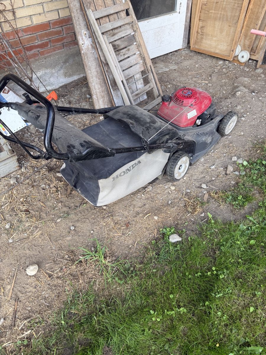 Honda Tagliaerba: Honda Rasenmäher – Usato da St. Erhard venduto da mueller510 4