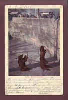 BERN - Bärengraben - 1902