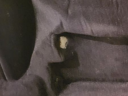 Borse: Posaunen Bag / Rucksack – Usato da Gettnau venduto da Federwind 3