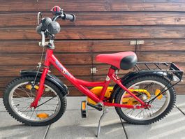 Kindervelo Wolf Kid-Fahrrad
