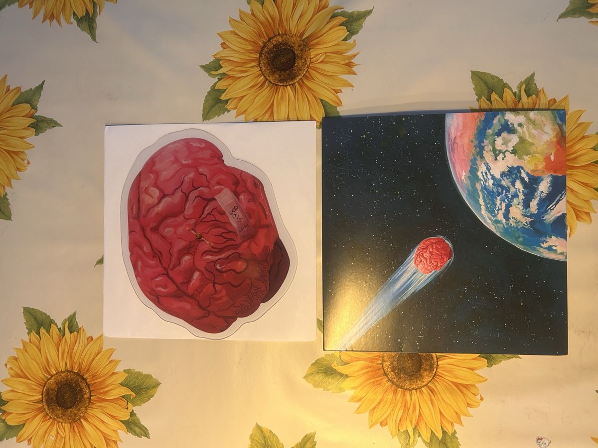 Dischi in vinile: Joywave Brain Damage Picture Vinyl Edition – Nuovo (secondo la descrizione) da Egnach venduto da SamC999 2
