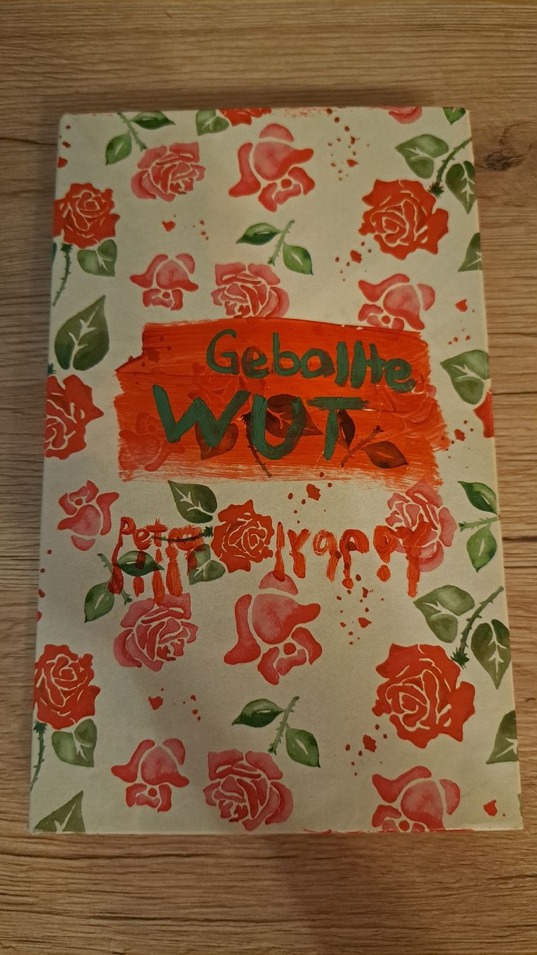 Libri: Geballte Wut, Petra Ivanov – Usato da Schaffhausen venduto da xJuliax
