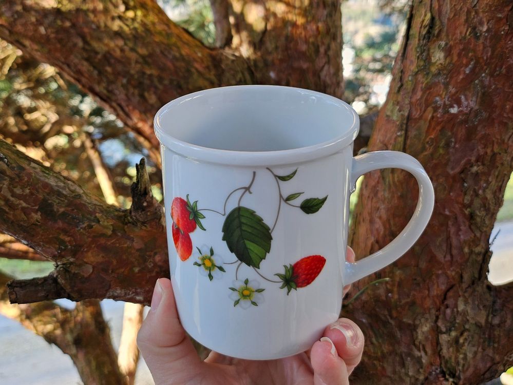 Teetasse / Tasse Frühling Erdbeeren Ranke (Gebraucht) in Siblingen für ...
