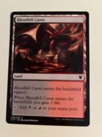 1 x Bloodfell Caves - Magic: The Gathering - MtG