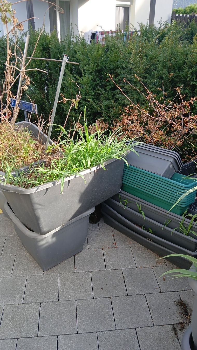 Pots de fleurs: Töpfe mit Erde – D'occasion à Therwil par Heavenkey 1