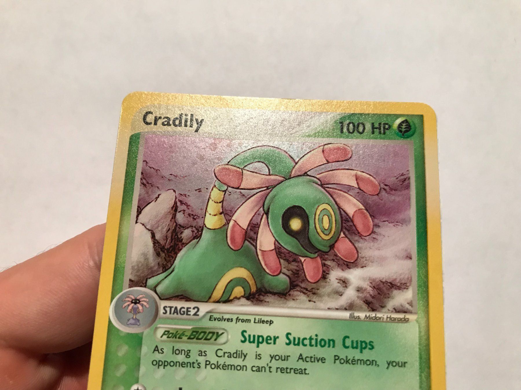 Pokémon Carte collezionabili: Cradily holo NM – Nuovo (secondo la descrizione) da Hagendorn venduto da Pokecollectorch 2