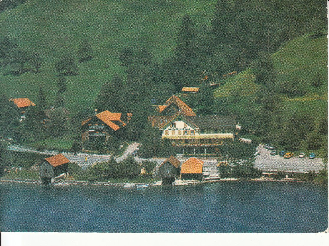 Cartoline postali: Morgarten Eierhals 1973 – Usato da Bürglen TG venduto da StampGraf