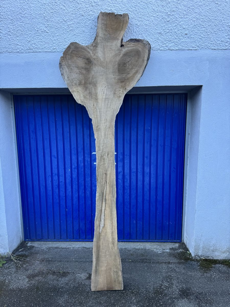 Articoli in legno: Nussbaum Klotzbrett 260  cm lang! – Usato da Gränichen venduto da onkel_xxl 7