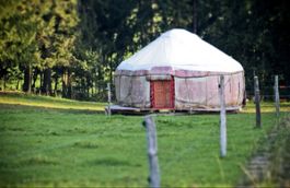 Kirgisische Jurte, winterfest, Ø 5 m – ohne Bodenpodest