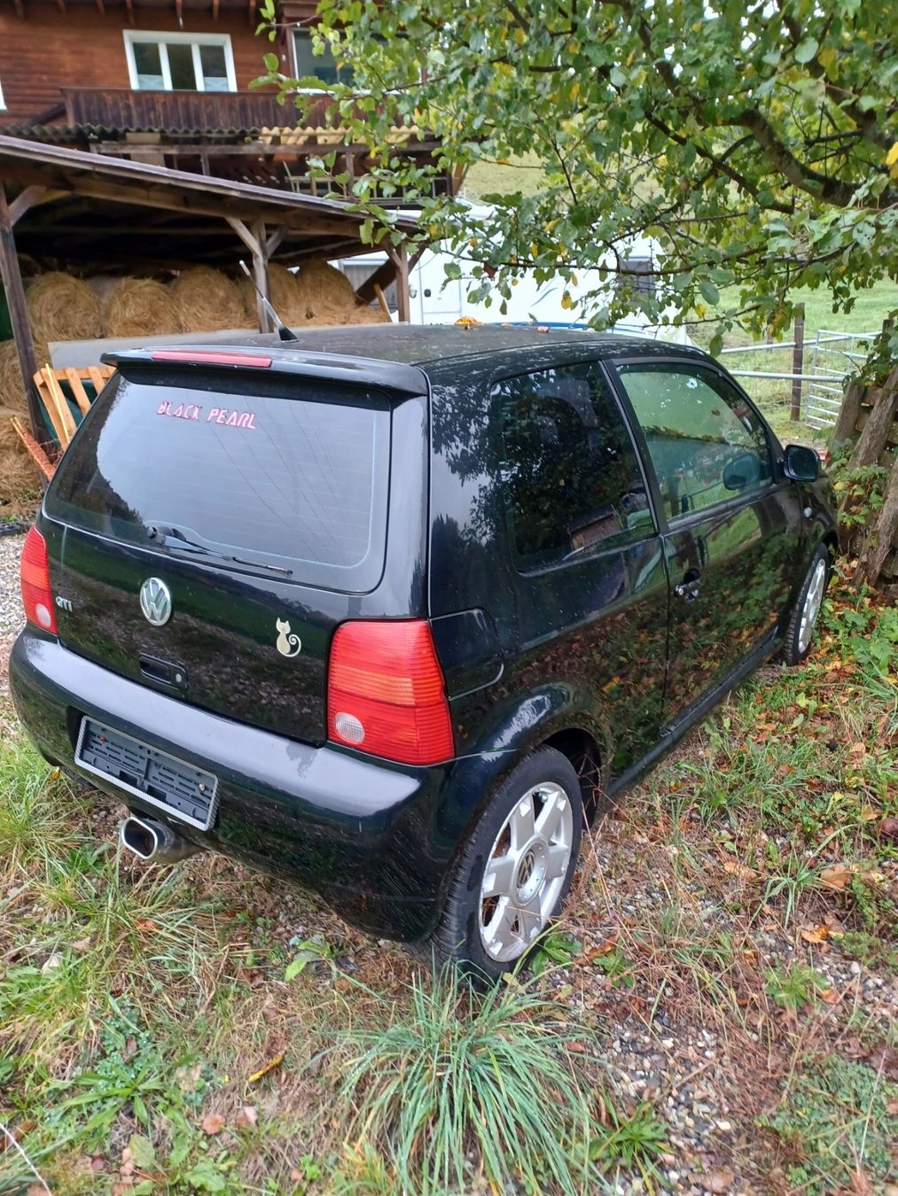VW Automobili: VW Lupo GTI – Usato da Wynigen venduto da housikaeru 1