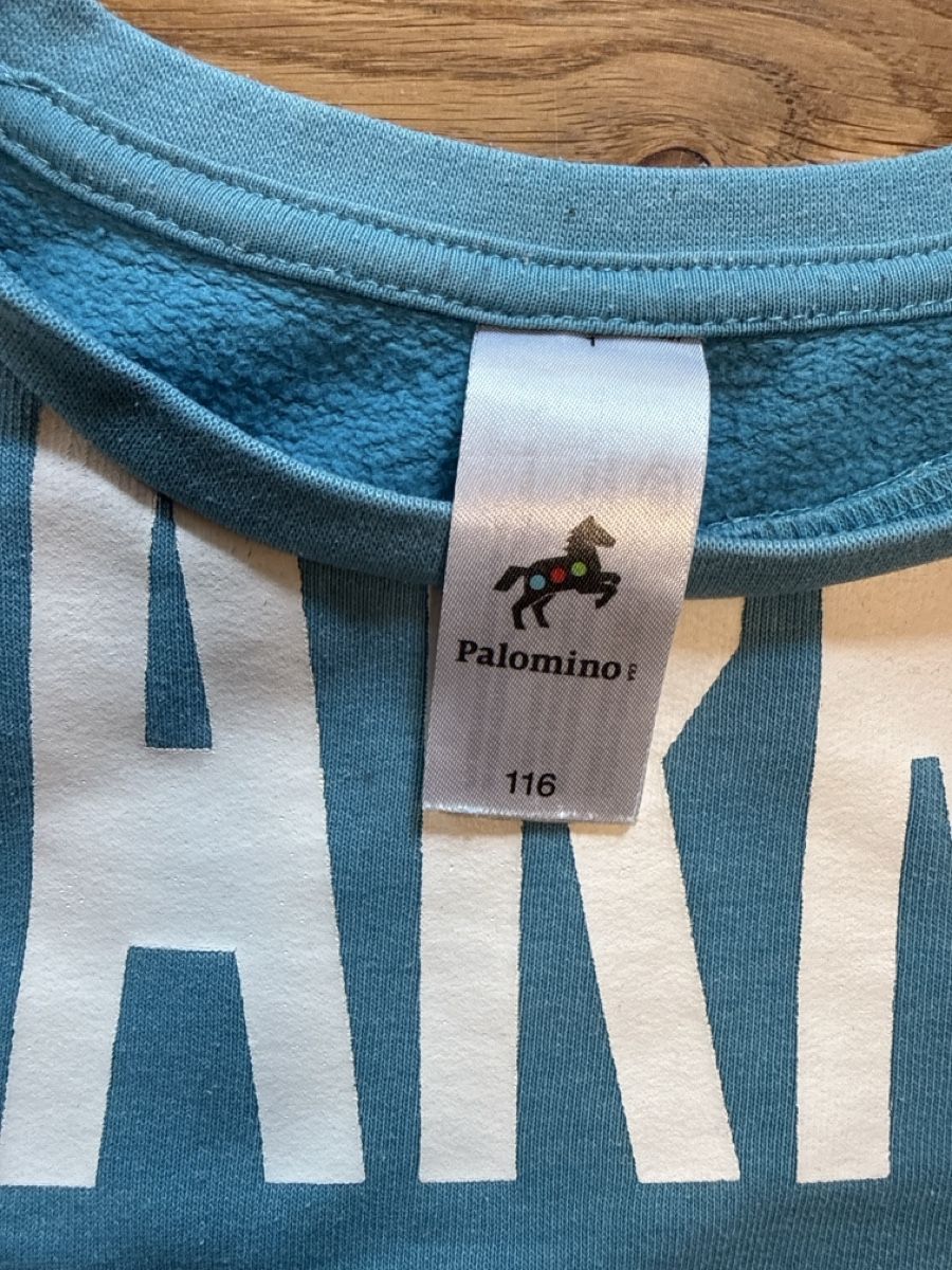 Maglioni & Felpe: Pullover Gr. 116 – Usato da Rohr b. Olten venduto da -FaLu- 1