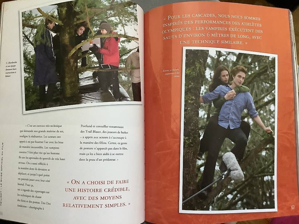 Libri: Livre Twilight neuf, 143 pages – Nuovo e nell'imballaggio originale da Icogne venduto da Juka 3