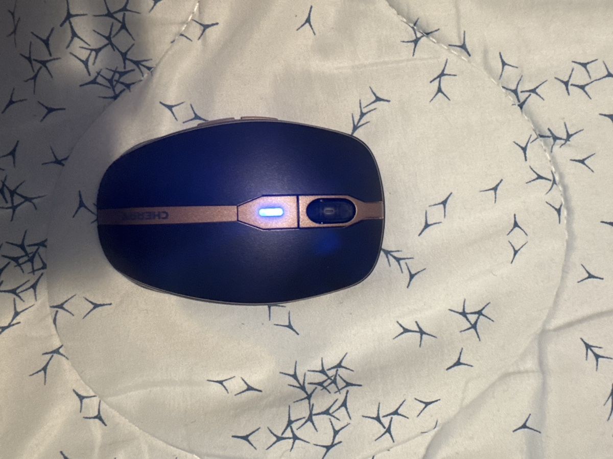 Mouse: Cherry DW 9100 Slim Mouse without Dongle – Usato da Hünenberg venduto da lag_2nxr 4