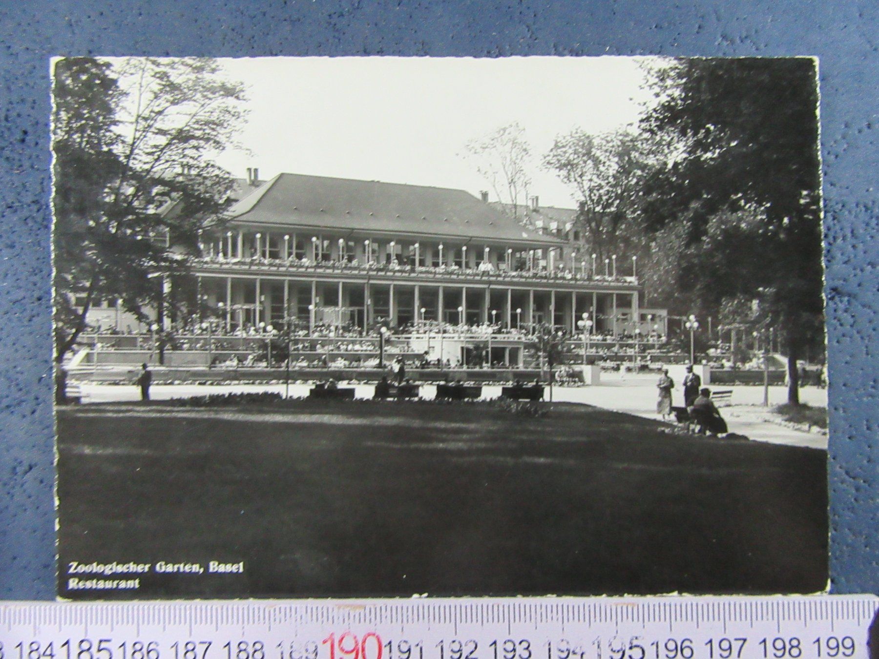 Cartoline postali: BASEL 1962 ZOO RESTAURANT AK-BS – Usato da Ettingen venduto da Hausi4711