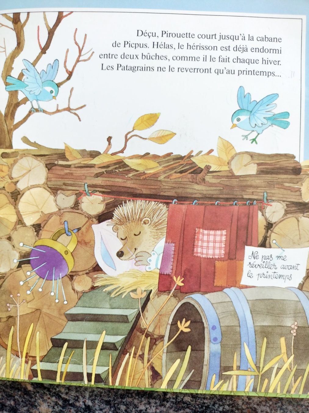 Libri: Pirouette L'Ecureuil dès 3 ans – Usato da Cortaillod venduto da rozinna 7