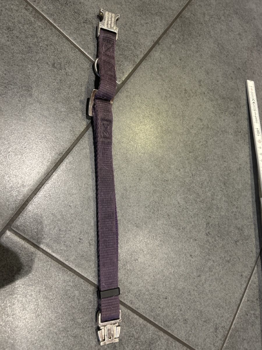 Guinzagli & Collari: Hunter  Halsband, violett Grösse M – Usato da Mühledorf SO venduto da Dania77 2