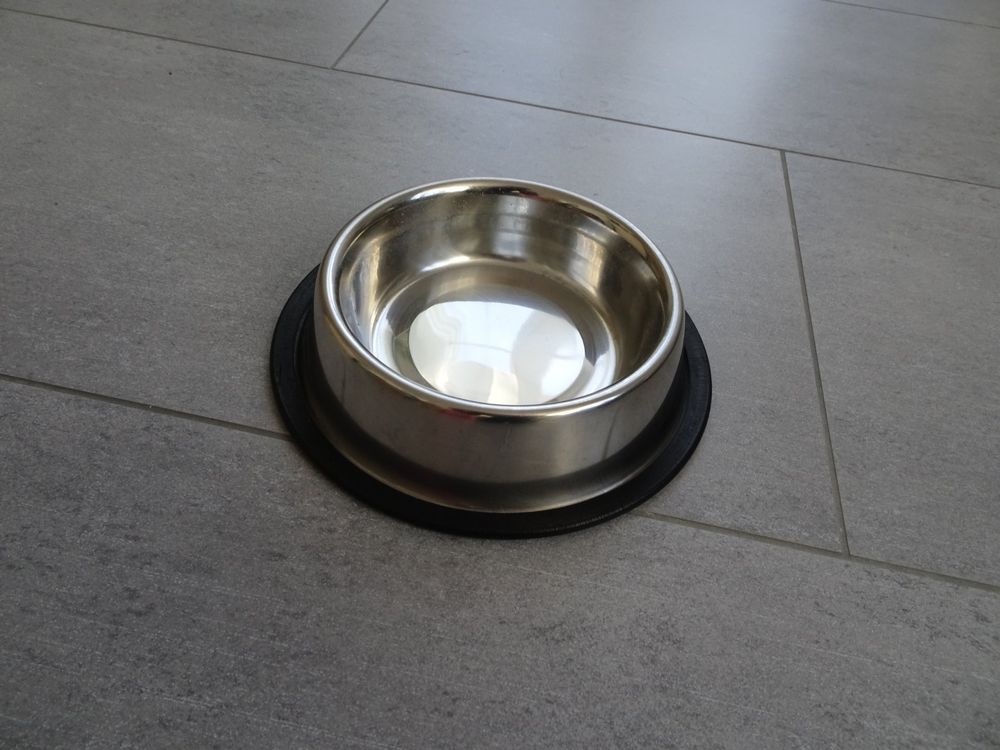 7 Stück Katzenfutternapf Aus Edelstahl – Erhöhter Napf Mit 15° Neigung, Rutschfest | Für Katzen & Kleine Hunde, Spülmaschinenfest