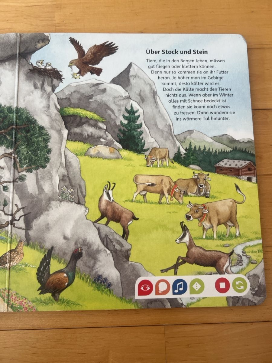 Bücher: Bilderlexikon Tiere Ravensburger tiptoi 4-6 Jahre – Gebraucht aus Birmensdorf ZH von Sternen2222 1