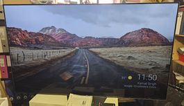 Sony Bravia OLED KD-65AFB Fernseher guter Zustand